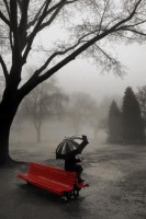 /album/photography-i-love/fog-jpg/